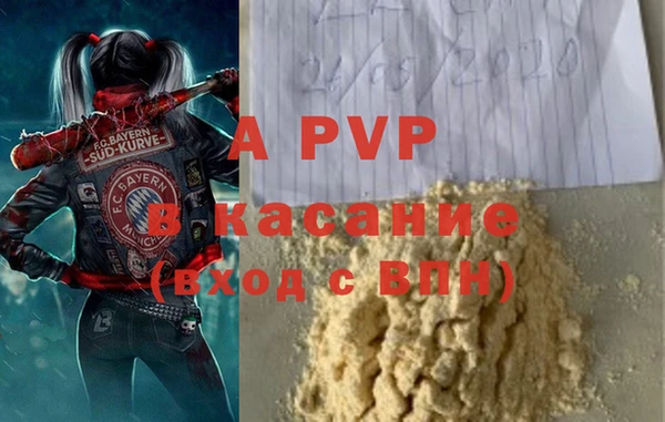 ПСИЛОЦИБИНОВЫЕ ГРИБЫ Баксан