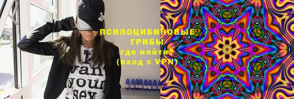 ПСИЛОЦИБИНОВЫЕ ГРИБЫ Баксан